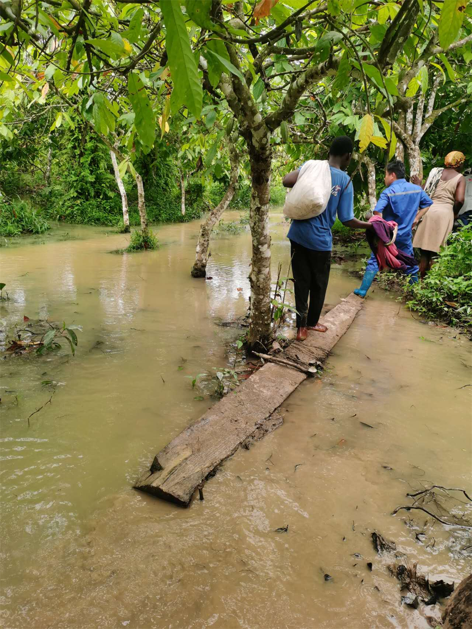 品质山河，用心服务！山河智能服务万里行活动走进非洲加纳